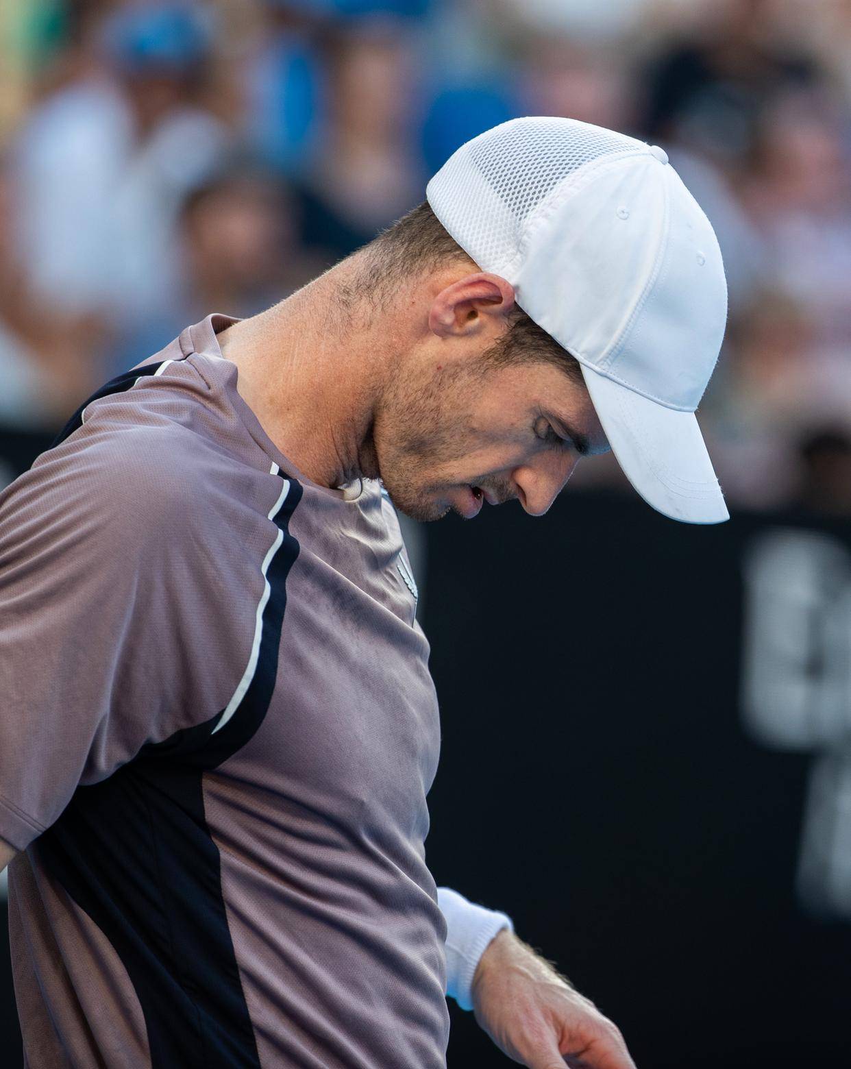 九游VIP-关于美国网球队碾压世界网球队，穆雷关键制胜的信息